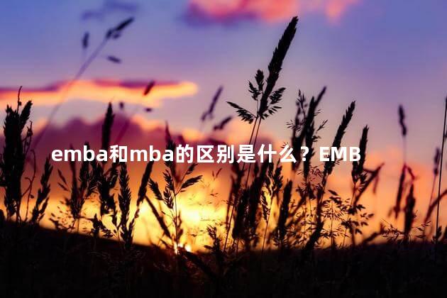 emba和mba的区别是什么？EMBA vs MBA：深入解析工商管理硕士的差异！